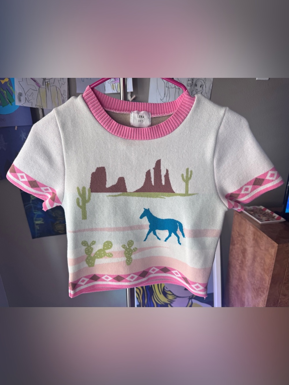 Western Knit Crop Top